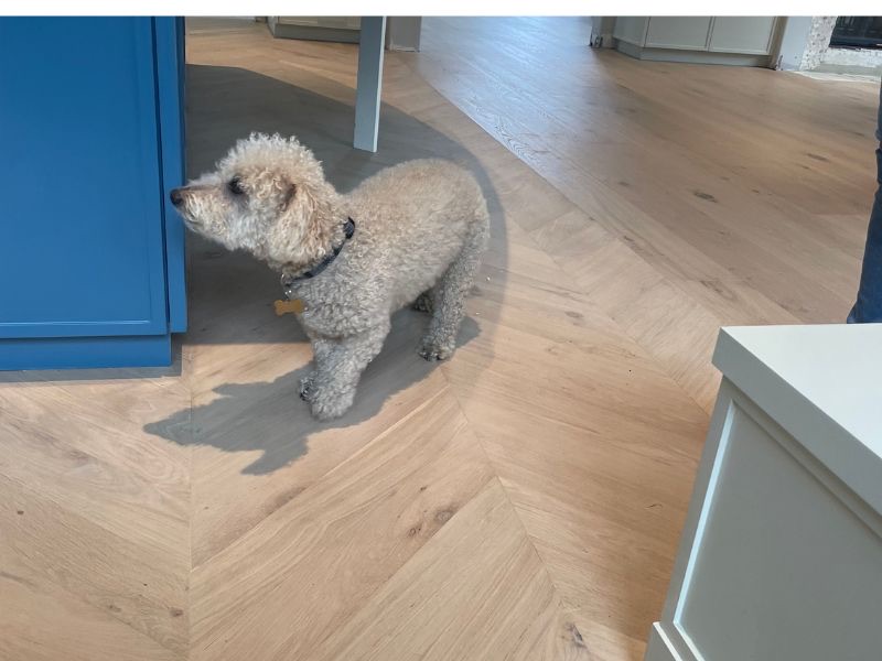 Chevron parquet pattern French reclaimed flooring